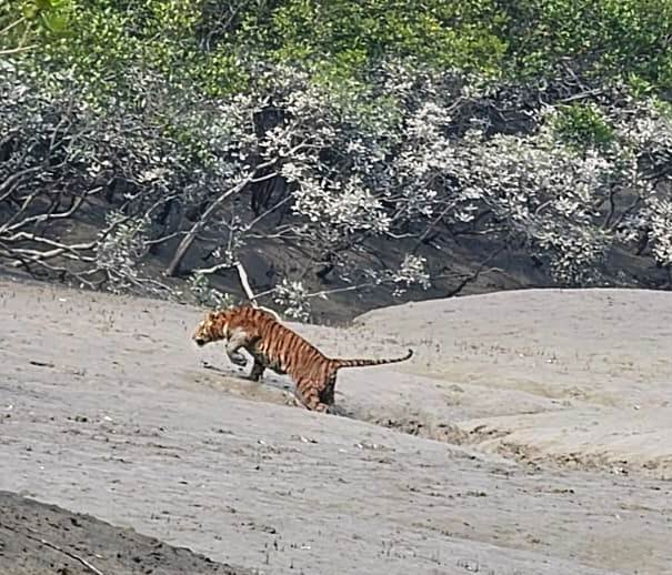 Sunderban Package 2 Days