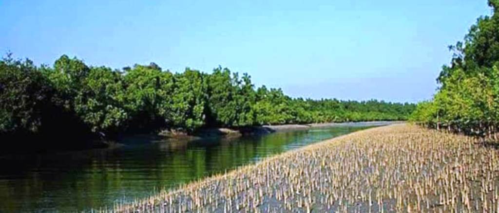 sunderban tour package