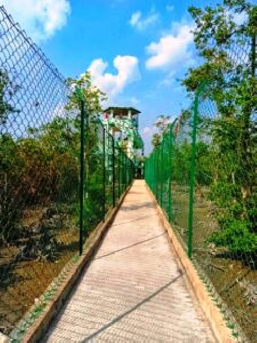 sundarban watch tower