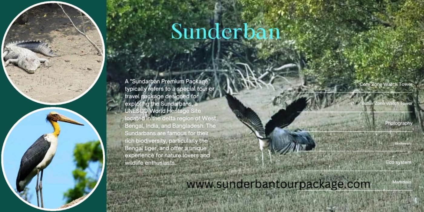 sunderban tour package